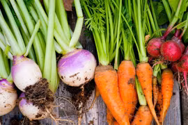 Các nhà khoa học kêu gọi ăn 5 loại thực phẩm này nhiều hơn