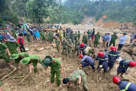 Nỗi lo sạt lở đất nhìn từ thảm cảnh Trà Leng
