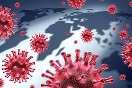 850.000 virus chưa được phát hiện ở động vật, có thể lây sang người gây đại dịch