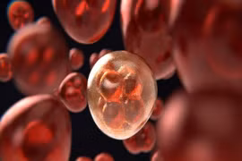 Phát hiện mới: Một loại thuốc thông thường có khả năng ức chế tế bào ung thư