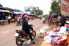 Tỉnh lộ 664: "Điểm đen" vi phạm hành lang an toàn giao thông