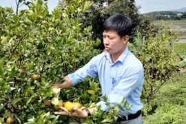 Trịnh Viết Hùng: Cựu chiến binh gương mẫu