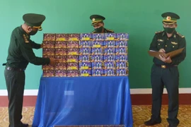 Gia Lai: Thu giữ 62 kg pháo hoa nhập lậu