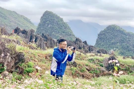 Lễ hội hoa Tam giác mạch tỉnh Hà Giang lần thứ VI: Sắc hoa cao nguyên đá