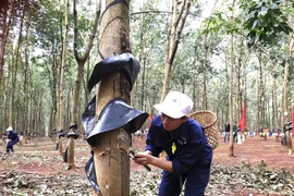 Sôi nổi phong trào "Luyện tay nghề, thi thợ giỏi" ở Binh đoàn 15