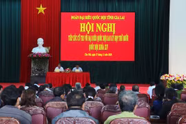 Đại biểu Quốc hội tỉnh Gia Lai tiếp xúc cử tri huyện Chư Păh và Ia Grai