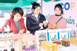 Gia Lai khuyến khích sử dụng sản phẩm OCOP làm tặng phẩm