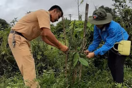 Ayun Pa: Lan tỏa phong trào "Thứ bảy tình nguyện"