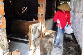 Ayun Pa công bố hết dịch tả heo châu Phi