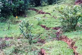 Quảng Nam xuất hiện nhiều vết nứt núi kéo dài