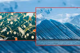 Vật chất lạ từ đáy biển có thể khiến cả Trái Đất lạnh đi