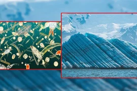Vật chất lạ từ đáy biển có thể khiến cả Trái Đất lạnh đi
