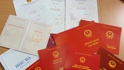 Xử lý mạnh việc sử dụng bằng cấp giả