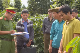 Đắk Lắk: Bắt đối tượng chặt 30 cây sầu riêng sau gần 10 ngày truy tìm