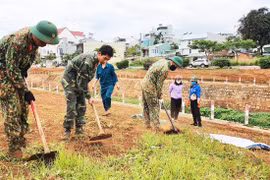 Trồng gần 300 m đường hoa trên bờ kè suối Hội Phú