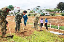 Trồng gần 300 m đường hoa trên bờ kè suối Hội Phú