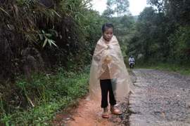 Leo đồi tìm chữ