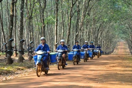 Ngành cao su "dễ thở" nhờ giá tăng