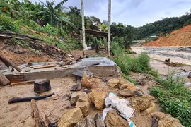 Tan hoang Phước Thành