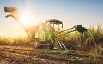 Làm nông đâu mãi cuốc cày...