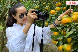 Kon Gang mùa cam chín