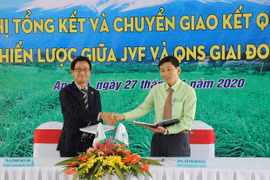 Bản đồ hiện trạng dinh dưỡng đất: Tín hiệu vui cho người trồng mía