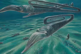 Hãi hùng "quái vật" 68 triệu tuổi hình… kẹp giấy, to bằng con người