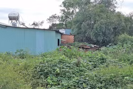 Giải quyết việc cấp GCNQSDĐ chồng lấn: Cơ quan chức năng đùn đẩy trách nhiệm