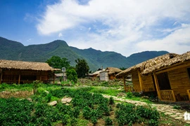 'Tây có bar còn to đẹp hơn, cớ gì phải tới tận Sa Pa thưởng thức món này?'