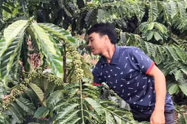 Tỷ phú làng Tơ Drăh