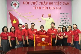 Kỷ niệm Ngày thành lập Hội Chữ thập đỏ Việt Nam