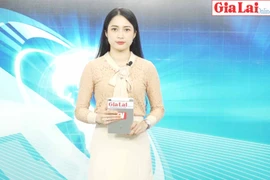 Gia Lai 48h: Khẩn trương xác minh vụ khai thác gỗ trái phép ở Ia Grai