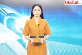 Gia Lai 48h: Bắt đối tượng tông vào xe Cảnh sát Giao thông, phát hiện mang theo súng tự chế