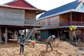 Blôm "thay áo mới"