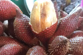 Tác dụng bất ngờ từ quả mây đối với sức khoẻ