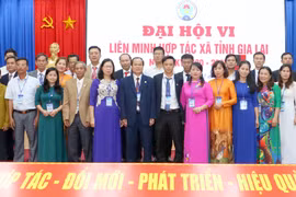 Gia Lai chú trọng xây dựng hợp tác xã kiểu mới gắn với chuỗi giá trị