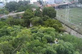 Sài Gòn nhớ nhớ thương thương - Kỳ 8: Lũy Bán Bích từng ngát hương ngâu