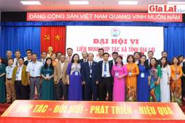 Ông Nguyễn Thế Hùng được bầu giữ chức Chủ tịch Liên minh HTX tỉnh