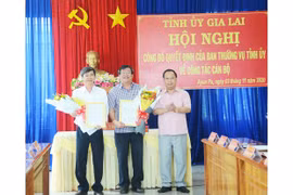 Đồng chí Thái Thanh Bình về Chủ nhiệm UBKT Tỉnh ủy, Trần Quốc Khánh giữ chức Bí thư Thị ủy Ayun Pa, Nguyễn Hoàng Phong giữ chức Bí thư Huyện ủy Phú Thiện