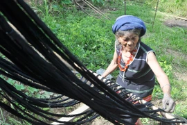 Lắng dịu sắc chàm