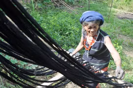 Lắng dịu sắc chàm