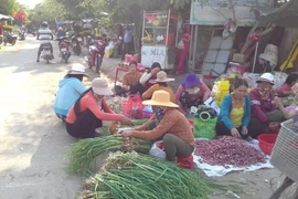 Vị giác sông Trà