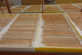 Giá vàng hôm nay 4-11: Tiếp tục vọt lên trước kết quả bầu cử Tổng thống Mỹ