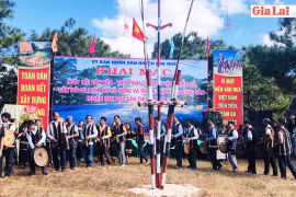 Ấn tượng ngày hội trên đồi cỏ hồng