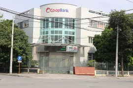 Vì sao Giám đốc Co-opbank Ninh Bình cùng 5 thuộc cấp bị khởi tố?