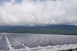 ĐBQH lo ngại pin điện mặt trời hết hạn "để nướng bò một nắng", dân chuyên ngành nói gì?