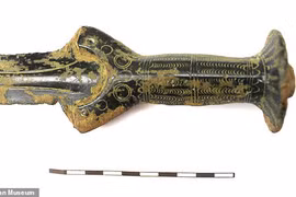 Đi hái nấm, người đàn ông vấp phải báu vật vô giá 3.300 năm