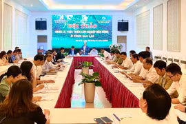 Gia Lai tìm giải pháp phát triển rừng bền vững