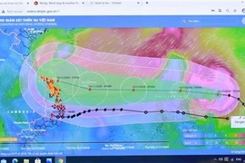 Bão số 13 khó đoán định, khả năng đổ bộ vào Trung Trung Bộ đêm 13/11