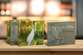 Tình mẹ-duyên con và mối nợ thi ca